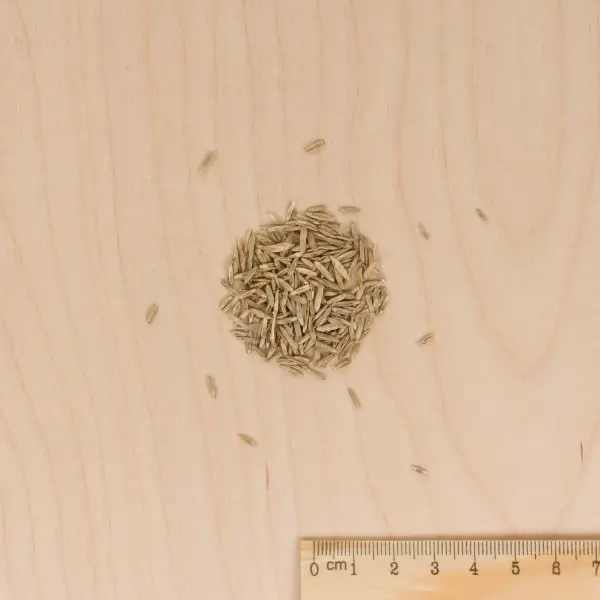 Soin regarnissage - Soin Regarnissage Universel 2 en 1 - 500 g - MEDIA_3D